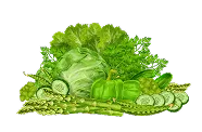 探索更多 - kaiyun.com
