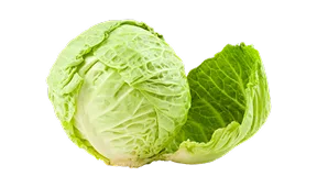 热门话题 - kaiyun.com